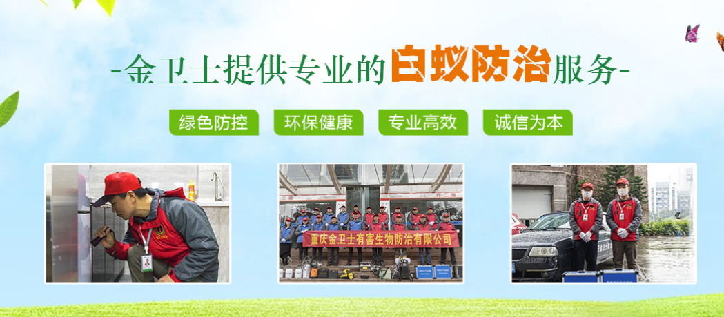 春季3月時(shí)期，白蟻消殺工作任重而道遠(yuǎn)  ?
