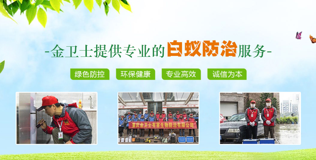丑陋的蟑螂看起來很可怕。如何解決這種情況？