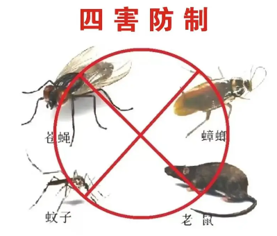 床墊易滋生吸血臭蟲，怎樣預(yù)防呢？