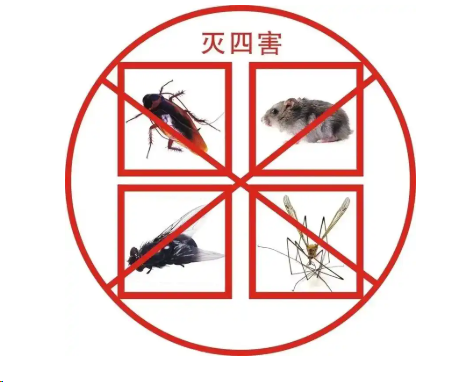 專業(yè)殺蟲除四害——守護健康生活的防線